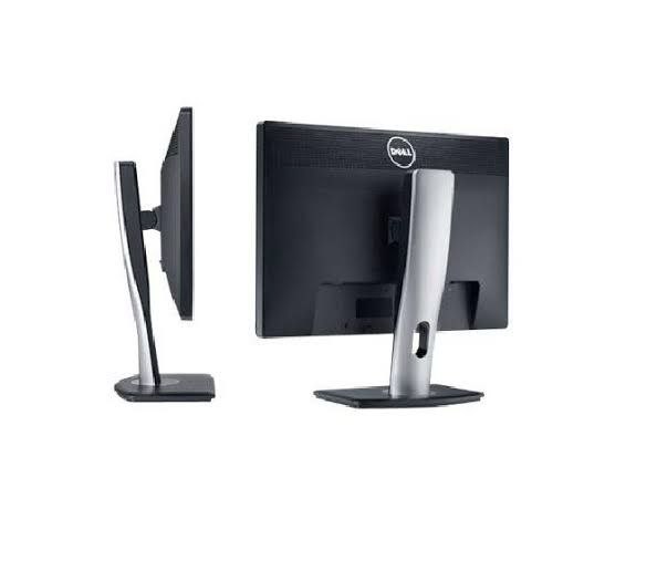 Monitor p2213