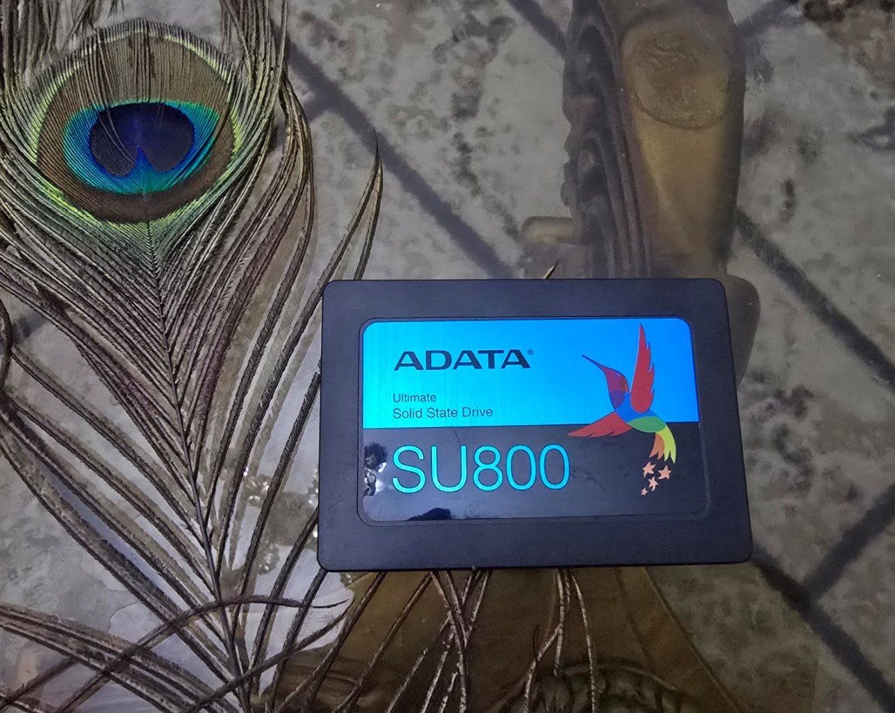 SSD ADATA SU800 512G